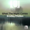 Bradley FitzAlan - When the Night Comes