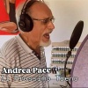 Andrea Pace - Il prossimo treno