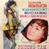 Hùng Cường - Có Những Đêm Buồn