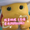 DJ名龙 - 我是奶龙 (今夜星光闪闪DJ版)