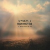 Eivissarts、Melon Monkey Club - Echoes of You