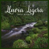 Lluvia del Bosque - Lluvia Ligera en el Bosque (01)