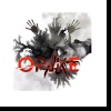 Opake - What Divides Us