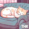 千葉沙織 - ねこのねかた