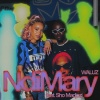 Waluz The President、Sho Madjozi - Ndi Mary (feat. Sho Madjozi)