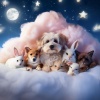 Radio Ondas 1、Asistente para la calma animal、Lluvia para seres pacíficos - Melodías Alegres De Mascotas