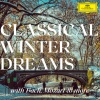 los angeles philharmonic、Gustavo Dudamel - Tchaikovsky: The Nutcracker, Op. 71, TH 14: Overture (Live at Walt Disney Concert Hall, Los Angeles / 2013)