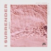 Joshua Robbie、Lange Frans - I Surrender (Remix)