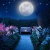 Vibraciones de polvo de estrellas、Academia de música para dormir y soñar、Descanso Zen Total - Las Suaves Melodías De Sleepscape