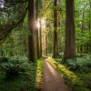 Segundo desayuno、Lo Mejor De La Musica Instrumental、La tierra siete - Tonos Melódicos Reflexivos