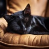 Clima salvaje、Olas de Sueño Felino、Relajación Musical para Gatos - Melodías De Ensueño Del Gato