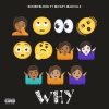 BOOBIEBLOOD、Mickey Madvillie - Why (Explicit)