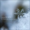 wolfgang schneiderhan、Rudolf Baumgartner、Claude Starck、festival strings lucerne - Vivaldi: 12 Concertos, Op. 3 