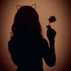 Dvng - Jasmine Petals