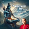 Ram Shankar - Mahamrityunjay Mantra 108 Times