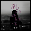 可妍 - 风知道我在想你 (粤语金曲)