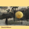 david wilson - in their majestic grace