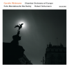 Carolin Widmann、Chamber Orchestra Of Europe - Mendelssohn: Violin Concerto in E Minor, Op. 64: I. Allegro molto appassionato –