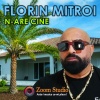 Florin Mitroi - N-are cine