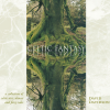 David Davidson - Farmer's Hand Intro (Celtic Fantasy Album Version)