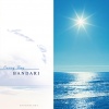 Bandari - A Woodland Night