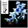 Greenpeace - Shards of Pleasant Memories (Original Mix)