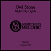 Owl Stone - Night City Lights (Original Mix)