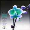 Radar Detector、Natune - Dive into My World (Original Mix)
