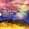 Chamber Choir Lege Artis、Boris Abalyan - Kheruvimskaya pesn