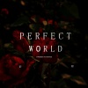 Bonnie橘子酱 - Perfect World