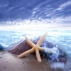 Ocean Sounds!、Ocean Waves!、Calming Water Consort、Ocean Sounds FX、Meditation Music Zone - Marées murmurantes