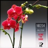 Owl Stone - Along the Shore (Original Mix)