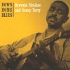 brownie mcghee、sonny terry - Let Me Be Your Big Dog (2020 Digitally Remastered)
