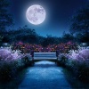 Lista de reproducción para relajarse por la mañana、Cascadas de Paz、Actitud Relajada - Las Olas Susurran Suavemente Bajo Las Estrellas