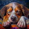 Música tranquila del domingo por la mañana、Jukebox de música para perros、La serie del compositor canino - Canciones Relajantes Para Perros Tranquilos