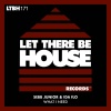 Sebb Junior、Ida fLO - What I Need