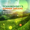 Andrei Ivanovich - The Seasons, Op. 37a: No. 6 June: Barcarolle