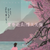 赵中华 - 桃花运