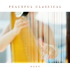 Yolanda Kondonassis、Rudolf Werthen - Vivaldi: The Four Seasons, Violin Concerto in G Minor, Op. 8 No. 2, RV 315 