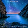 Philharmonia Orchestra、Suzannah Bee - Silent night