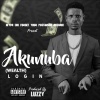 Login - Akunuba