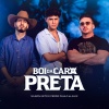 Nilson Neto、Pedro Paulo & Alex - Boi da Cara Preta (Explicit)