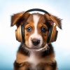 Tranquilo Piano Jazz Relax、Sociedad de música relajante para perros、Perro soledad - Perros Y Melodías Suaves