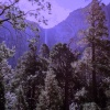 LOWLIGHT - Violet