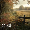 SoundScape Studio、Tranquil Music Sound of Nature - Star Glade