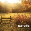 Calming Nature by Cloud Bed、Sauna - Misty Hues