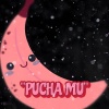 Payne - PUCHA MU (Explicit)