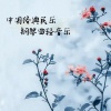 古典留声机 - 彩云追月 (钢琴曲轻音乐)