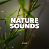 Nature Sounds、Sounds for Life - Afternoon Nap