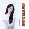 琳歌 - 风风雨雨都是情 (温柔版)